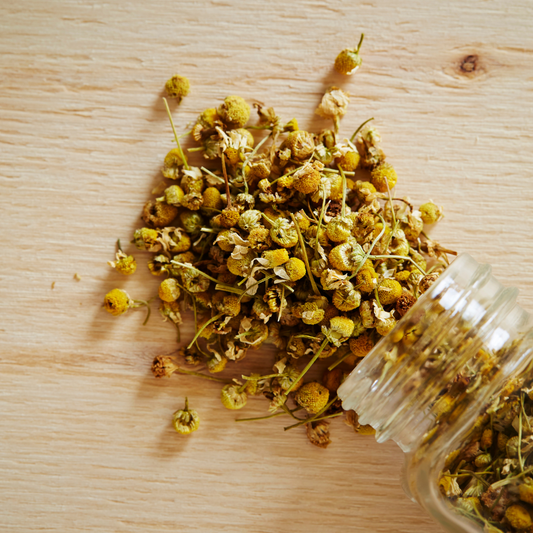 Calm Chamomile